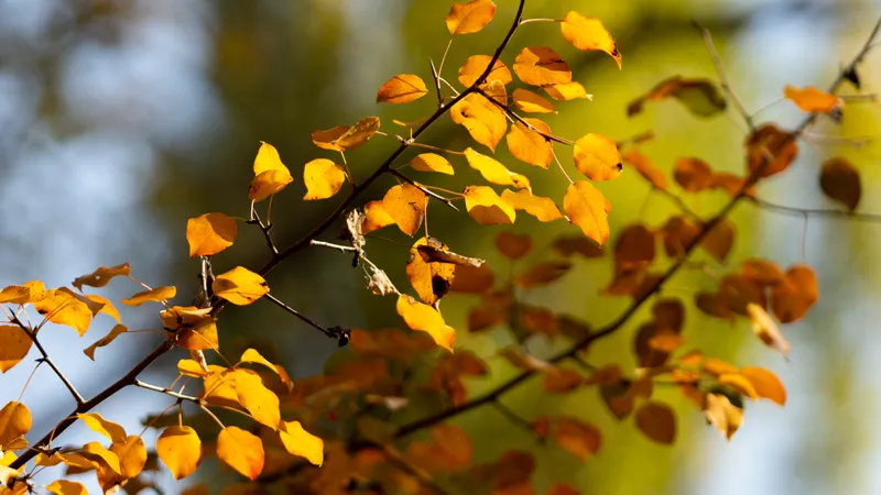 Опубликован прогноз погоды в Казахстане на 10 сентября