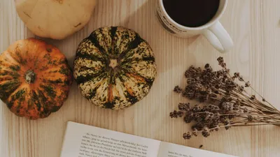 Казгидромет, Казахстан, погода, прогноз, конец августа, начало осени, фото - Новости Zakon.kz от 29.08.2025 13:21