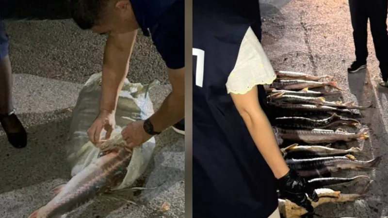 У жительницы Актау изъяли больше 40 кг краснокнижной рыбы