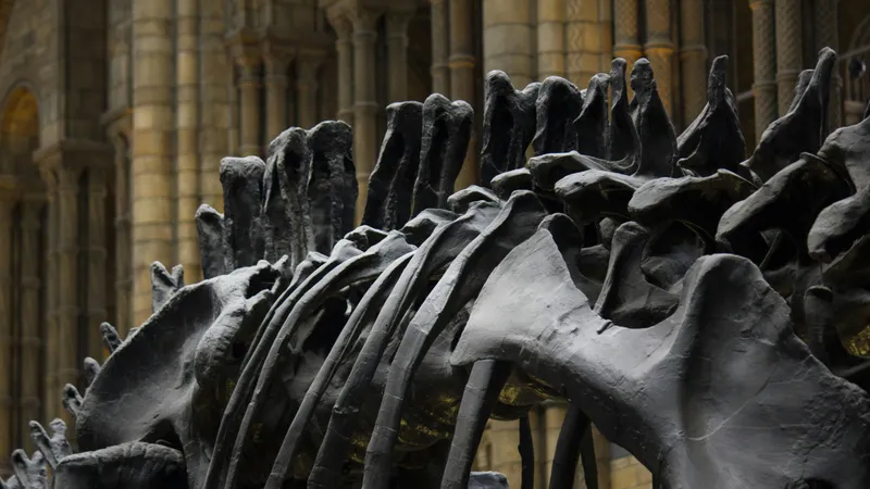 Его боялись даже динозавры: ученые раскопали крокодила-убийцу