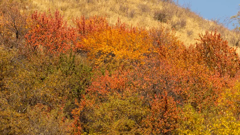 Алматыда қайтадан жаңбыр жауып, боран болады, бірақ ауа температурасы +28°C дейін жылынады