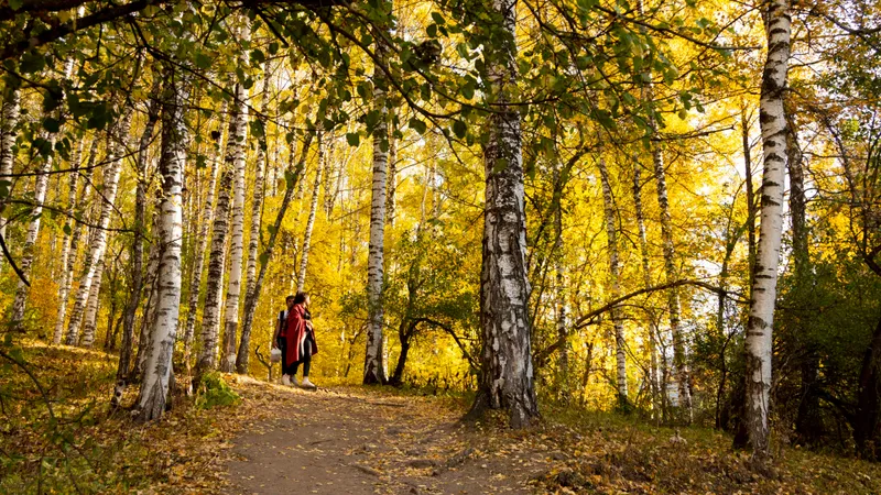 Синоптиктер Астана, Алматы және Шымкентке арналған үш күндік ауа райы болжамын жариялады