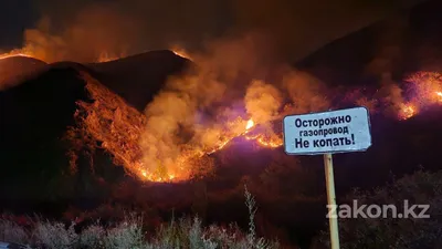 Пожар в горах Алматинской области, фото - Новости Zakon.kz от 31.08.2025 00:00