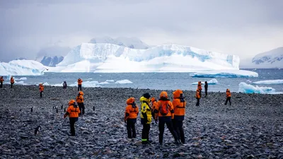 Антарктида, ученые, природа, фото - Новости Zakon.kz от 30.08.2025 07:47