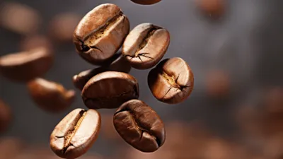 кофейные зерна, фото - Новости Zakon.kz от 30.08.2025 14:49