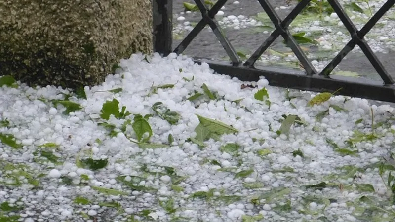 Град, снег, дожди и сильная жара: какая погода ожидает казахстанцев 1 сентября