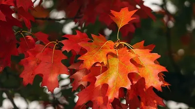 прогноз погоды на сентябрь, фото - Новости Zakon.kz от 01.09.2025 21:35