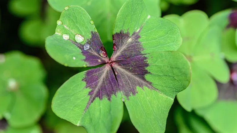 Названы знаки, которым повезет с 1 по 7 сентября 2025 года