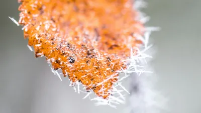 , фото - Новости Zakon.kz от 01.09.2025 16:03