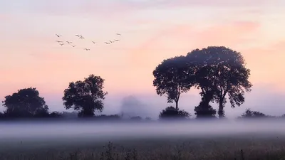 штормовое предупреждение объявили в РК, фото - Новости Zakon.kz от 01.09.2025 20:01