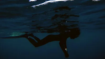 Заплыв, человек, вода, фото - Новости Zakon.kz от 01.09.2025 06:32