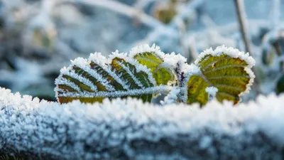 , фото - Новости Zakon.kz от 17.09.2025 11:44