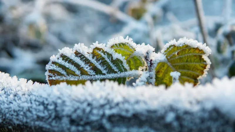 Мокрый снег, заморозки и жара до +40°С: прогноз погоды в Казахстане на сентябрь