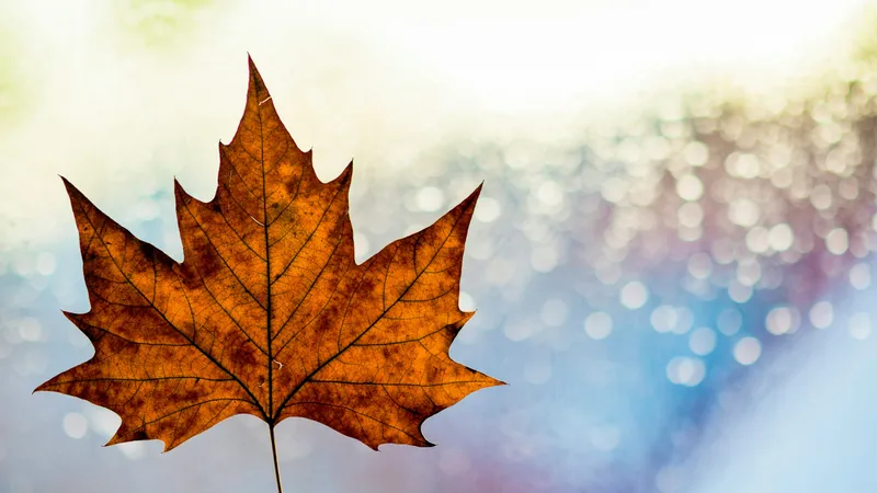 В Алматы ожидаются дожди, а какой будет погода в Астане и Шымкенте: прогноз на три дня