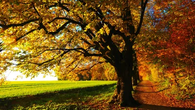 Казгидромет, осень, 3 сентября, синоптики, прогноз, фото - Новости Zakon.kz от 02.09.2025 17:45