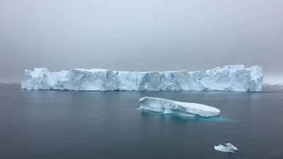 , фото - Новости Zakon.kz от 07.11.2025 14:01