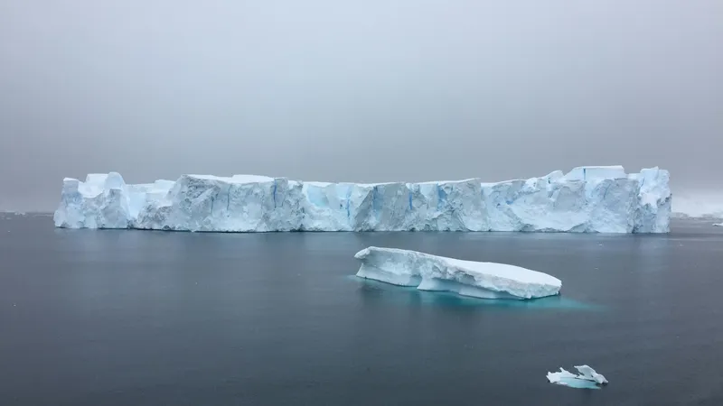 Крупнейший в мире айсберг распался на части