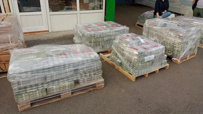 Раскрыта схема подделки, фото - Новости Zakon.kz от 02.09.2025 13:02