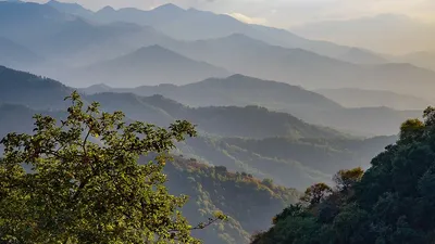 горы, осень, Доценко, новые фото, фото - Новости Zakon.kz от 02.09.2025 11:32