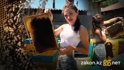 , фото - Новости Zakon.kz от 04.09.2025 16:31