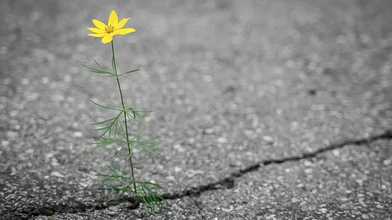 Ни света, ни дороги: жители актюбинского Жанаконыса устали жить без условий