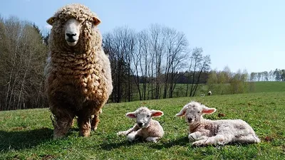 исследование, фото - Новости Zakon.kz от 03.09.2025 18:30