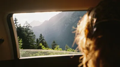 Природа, виды, деревья, фото - Новости Zakon.kz от 05.09.2025 06:57