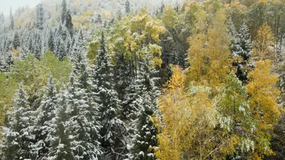 , фото - Новости Zakon.kz от 30.09.2025 14:08