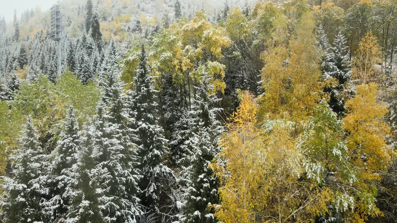 Пять областей Казахстана 4 октября ждут заморозки до -3°С