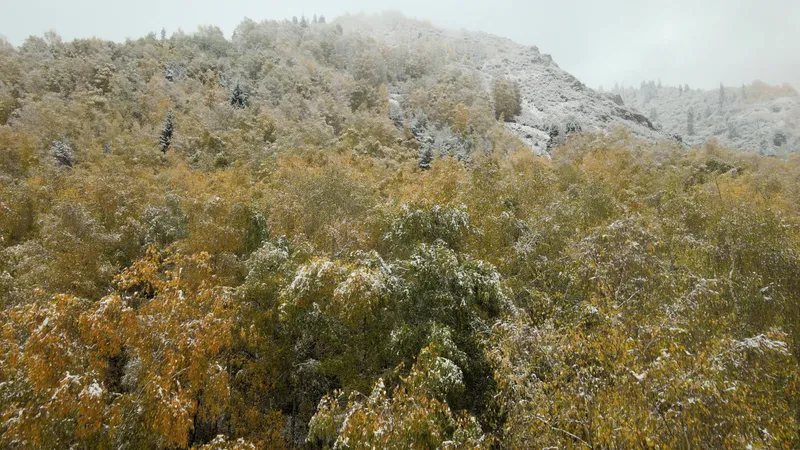 Қазақстанның 16 облысында үсік, тұман мен найзағай күтіледі: дауылды ескерту жарияланды