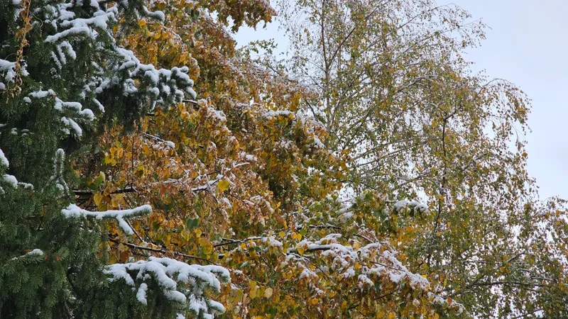 В каких регионах Казахстана синоптики объявили штормовое предупреждение на 15 октября