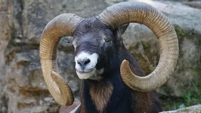 Гороскоп на 4 сентября, фото - Новости Zakon.kz от 04.09.2025 08:11