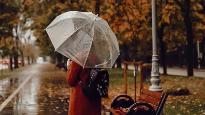 девушка с зонтом, парк, скамейка, лужи от дождя, фото - Новости Zakon.kz от 05.09.2025 16:53