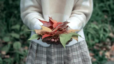 , фото - Новости Zakon.kz от 05.09.2025 14:49