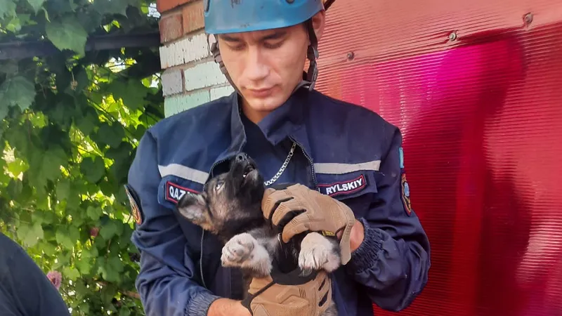 Попавшему в беду щенку помогли спасатели Усть-Каменогорска