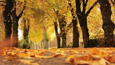 приметы, 6 сентября, погода, интересное, запреты, фото - Новости Zakon.kz от 05.09.2025 16:28