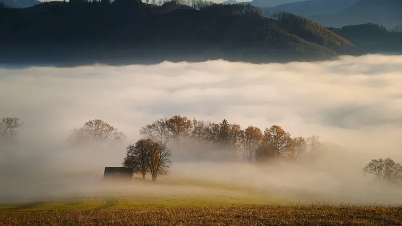 Туман, пыльная буря и гроза: штормовое предупреждение объявили на субботу
