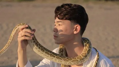 Кызылорда, Нурсултан Икрамов, змеи, Айголек, музыка, кюи Курмангазы, фото - Новости Zakon.kz от 05.09.2025 15:16