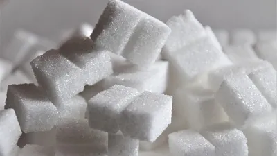 , фото - Новости Zakon.kz от 05.09.2025 17:20