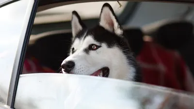 Гороскоп на 6 сентября, фото - Новости Zakon.kz от 06.09.2025 07:50