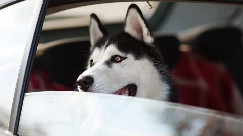 Гороскоп на 6 сентября: день идеален для поездок