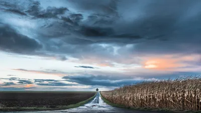 погода, фото - Новости Zakon.kz от 06.09.2025 14:52