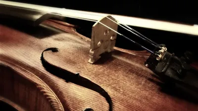 скрипка, фото - Новости Zakon.kz от 06.09.2025 16:53