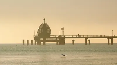 Пирс, море, птицы, фото - Новости Zakon.kz от 07.09.2025 04:40