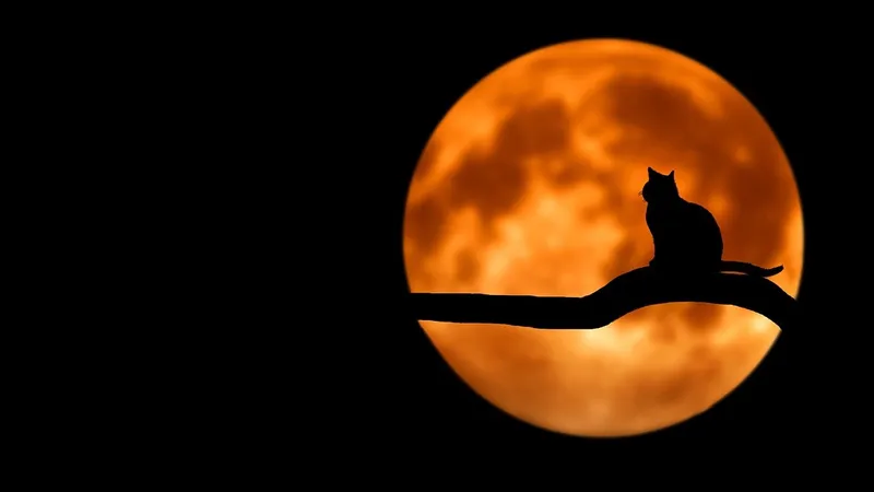 Над Евразией наблюдают багровую "кукурузную" Луну и полное затмение