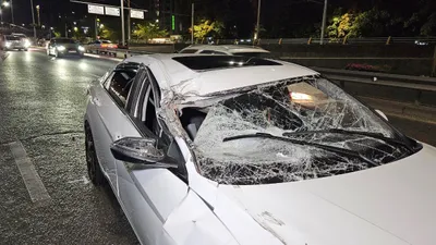 ДТП, Алматы, фото - Новости Zakon.kz от 08.09.2025 01:35