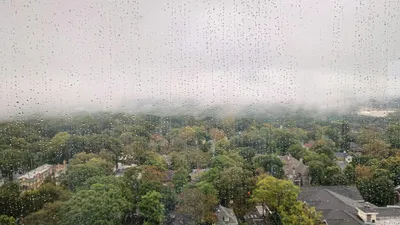 вид из окна, капли дождя, деревья, строения, фото - Новости Zakon.kz от 08.09.2025 17:15