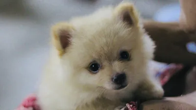 , фото - Новости Zakon.kz от 11.09.2025 12:17