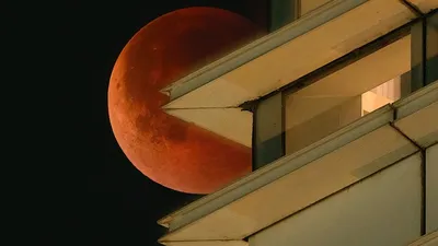 Луна, затмение, фотографии, Доценко, фото - Новости Zakon.kz от 08.09.2025 16:05