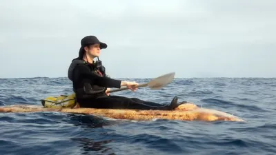 Американский художник и миколог Сэм Шумейкер, фото - Новости Zakon.kz от 08.09.2025 08:35